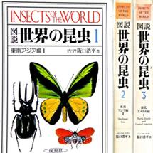 会社概要・お問い合わせ